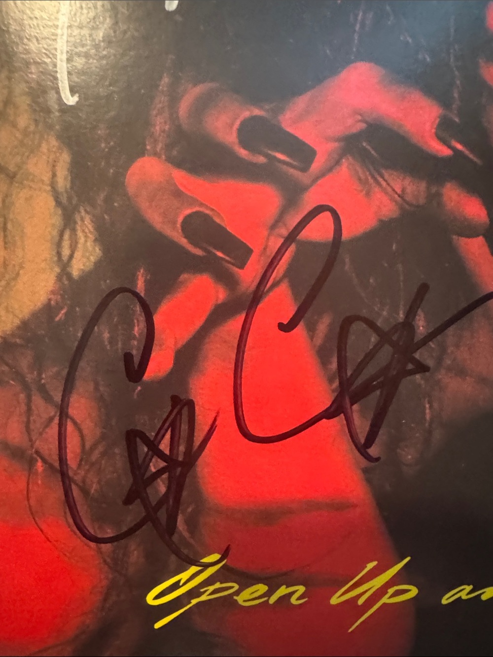 Poison Autographed album and tote - Picture 7 of 12
